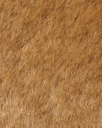Sheepskin Camel by   