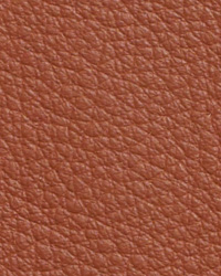 Sierra Saddle Leather by   