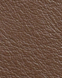 Sierra Walnut Leather by   