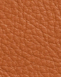Sierra Autumn Leather by   