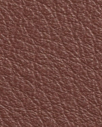 Sierra Cordovan Leather by   