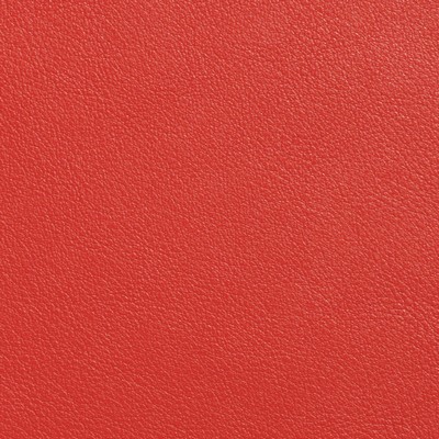 Garrett Leather Sierra Cherry Leather in Sierra Leather Red Full  Blend Fire Rated Fabric German Leather Solid Leather HIdes Italian Leather  Fabric