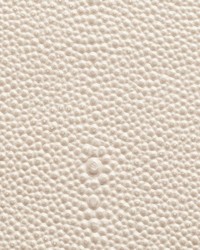 Shagarrett Bonnet by  Lee Jofa 