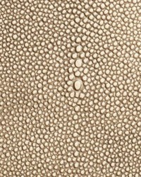 Shagarrett Manta by  Lee Jofa 