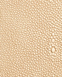 Shagarrett Ribbon Tail by  Lee Jofa 