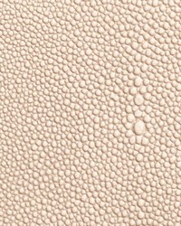 Shagarrett River by  Lee Jofa 