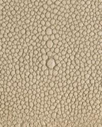Shagarrett Limestone Leather by   