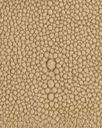 Shagarrett Sandbar Leather by   