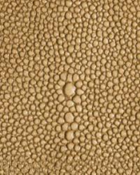 Shagarrett Sandal Leather by  Lee Jofa 