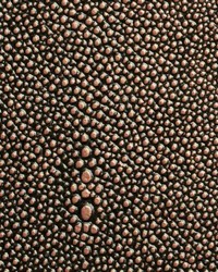 Shagarrett Stinger by  Lee Jofa 