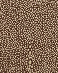 Shagarrett Thornback by  Lee Jofa 