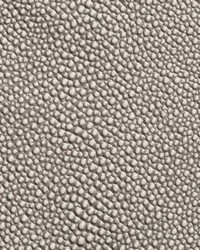 Shagarrett Whiptail by  Lee Jofa 