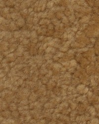 Sheepskin Amber Curly by   