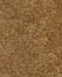 Sheepskin Amber Curly by   
