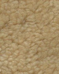 Sheepskin Beige Curly by   