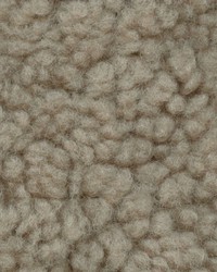 Sheepskin Greige Curly by   