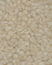 Sheepskin Putty Curly by   