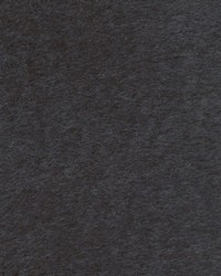 Sheepskin Shingle by   