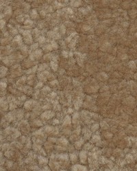 Sheepskin Taupe Curly by   