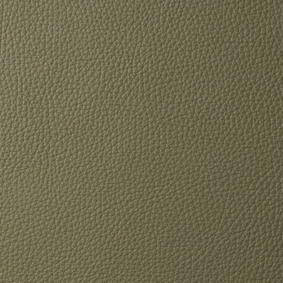 Garrett Leather Torino Tarragon Leather in Torino Green Upholstery pebble  Blend Fire Rated Fabric Italian Leather Solid Leather HIdes Solid Green   Fabric