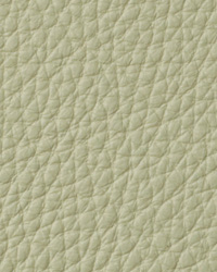 Torino Lemongrass Leather by   