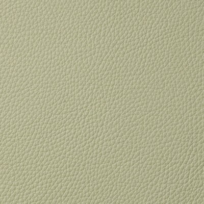 garrett leather,solid colored fabric,solids,solid leather fabric,designer fabric,decorator fabric,upholstery fabric,sofa fabric,chair fabric