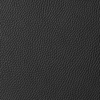 Garrett Leather Torino Caviar Leather in Torino Black Upholstery pebble  Blend Fire Rated Fabric Italian Leather Solid Leather HIdes Solid Black   Fabric
