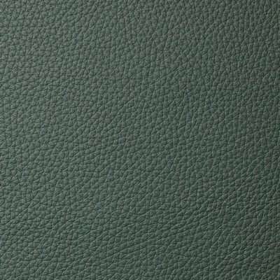 Garrett Leather Torino Fir Leather in Torino Green Upholstery pebble  Blend Fire Rated Fabric Italian Leather Solid Leather HIdes Solid Green   Fabric