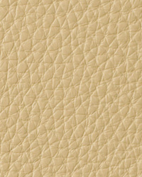 Torino Birch Leather by   