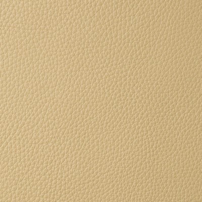 Garrett Leather Torino Birch Leather in Torino Upholstery pebble  Blend Fire Rated Fabric Italian Leather Solid Leather HIdes Solid Beige   Fabric