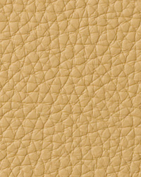 Torino Dandelion Leather by   
