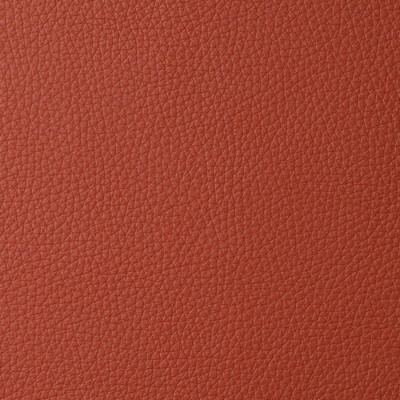 Garrett Leather Torino Rust Leather in Torino Red Upholstery pebble  Blend Fire Rated Fabric Italian Leather Solid Leather HIdes Solid Red   Fabric
