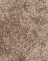 Ballet Gingerbread by  Gum Tree 