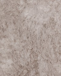Ballet Taupe Gray by   