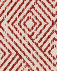 Boylan Spice by  Gum Tree 