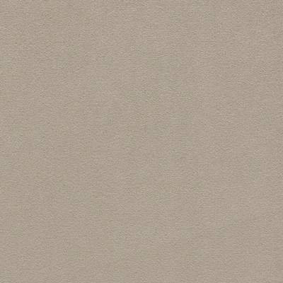 Gum Tree Chantel Cobblestone in new 2022 2nd batch Grey Polyester  Blend Solid Velvet   Fabric