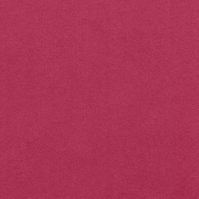 Gum Tree Chantel Magenta in new 2022 2nd batch Pink Polyester  Blend Solid Velvet   Fabric