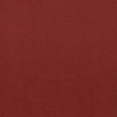 Gum Tree Chantel Wine in new 2022 2nd batch Red Polyester  Blend Solid Velvet   Fabric