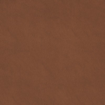 Gum Tree Colton Tobacco in new2021 Polyurethane  Blend Fire Rated Fabric Weave   Fabric