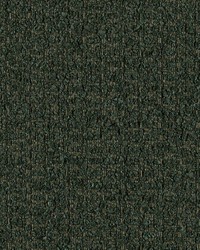 Davis Fern by  Gum Tree 