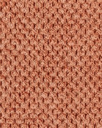 Davos Terra Cotta by  Gum Tree 