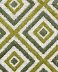 Gallagher Fern by  Waverly 