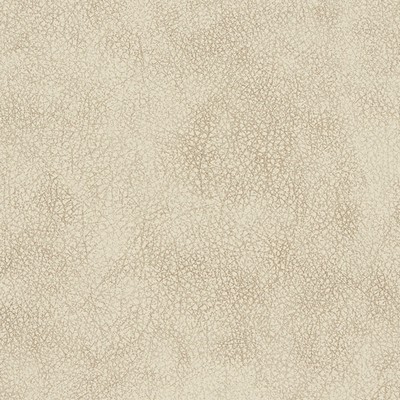 Gum Tree Innova Alabaster in new2021 Beige Polyurethane  Blend Fire Rated Fabric Solid Faux Leather Leather Look Vinyl  Fabric