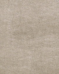 Luxuria GunMetal by  Gum Tree 