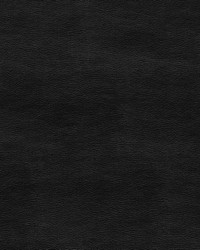 Luxuria Licorice by  Gum Tree 