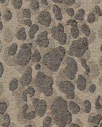 Lynx Cloudburst by  Gum Tree 