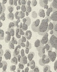 Lynx Gray by  Gum Tree 