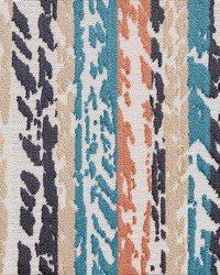 Phelps Spice by  Gum Tree 