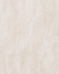 Santiago Birch by  Gum Tree 