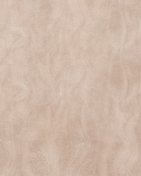 Santiago Nomad by  Gum Tree 